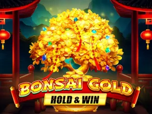 Bonsai Gold Hold & Win game icon